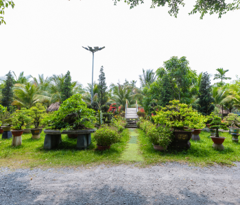 Nhận đặt tiệc Liên Hoan - Sinh Nhật - Họp Mặt Khu Vực Bến Cát - Miệt Vườn Quán